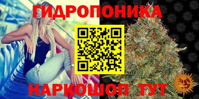дмт Канаш
