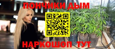крисы Кандалакша