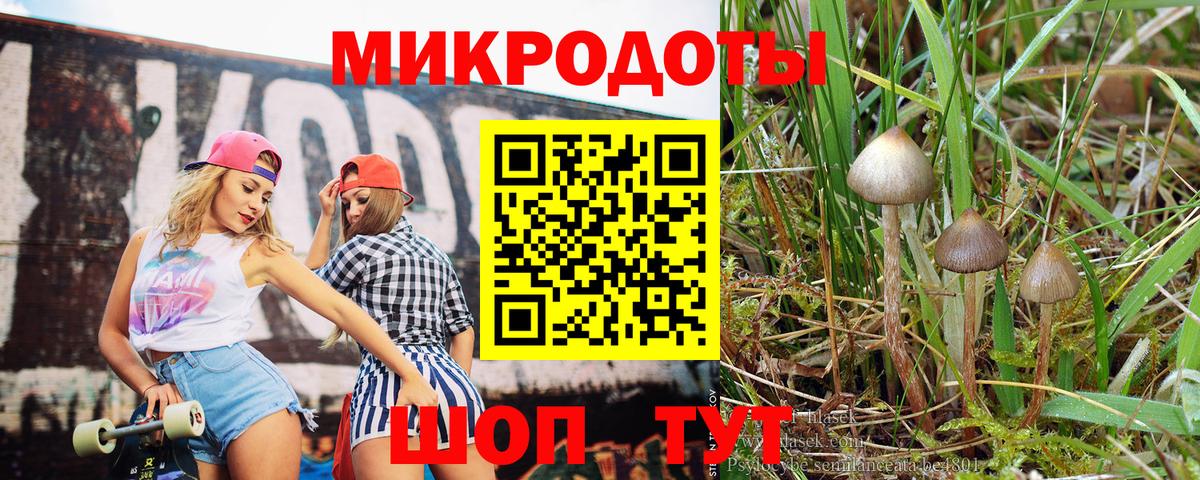Галлюциногенные грибы MAGIC MUSHROOMS  Галлюциногенные грибы Psilocybe  Вход с VPN  Лабытнанги 