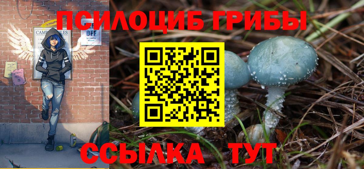 Галлюциногенные грибы ЛСД Лабытнанги